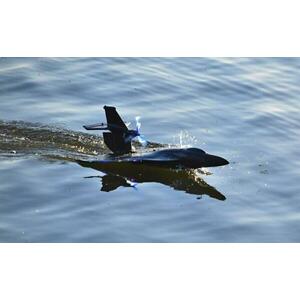 IQ models RC Stíhačka Raptor-650 černá obraz