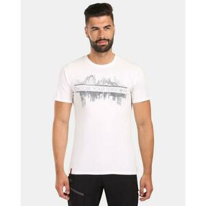 KILPI DISCOVER-M - L obraz