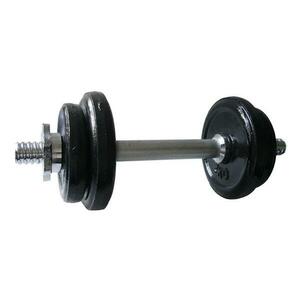 Kubisport Činka nakládací jednoruční 8, 5 kg - průměr 30 mm obraz