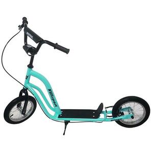 Kubisport Mistral 12 obraz