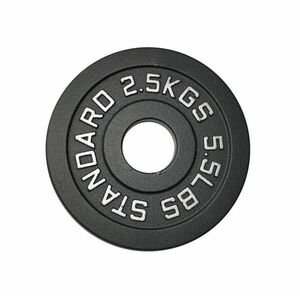 Kubisport Náhradní kotouč speciální litinový 2, 5kg - průměr otvoru 50 mm obraz