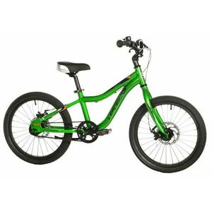 Lader Fox KENO 18 Green - zelené obraz