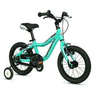 Leader Fox BUBU BOY 14 GREEN LIGHT - zelené obraz