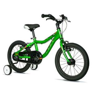 Leader Fox BUBU BOY 16 GREEN - zelený obraz