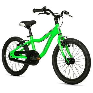 Leader Fox BUBU BOY 18 GREEN - zelené obraz