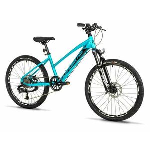 Leader Fox Capitan 4 2025 - tyrkys obraz