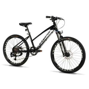 Leader Fox CAPITAN Girl 24 - velikost rámu 14 palců obraz