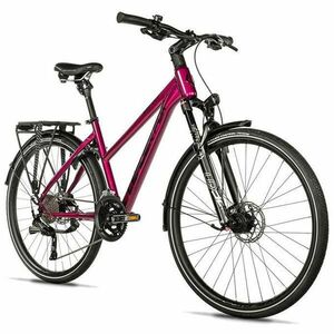 Leader Fox ESPIRIT LADY 18 VIOLET SHINY - velikost rámu 20 palců obraz