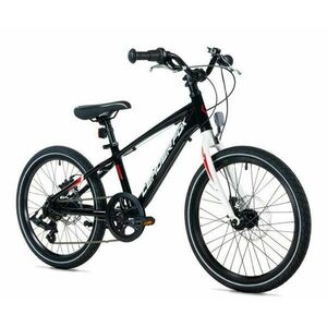 Leader Fox GAMP 20 BOY BLACK - K26/20/1/4 obraz