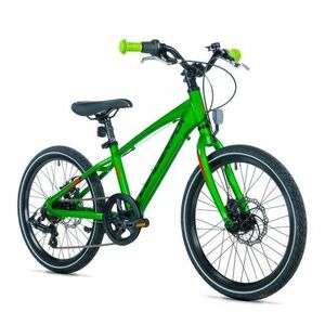 Leader Fox GAMP 20 BOY - K26/20/1/2 obraz