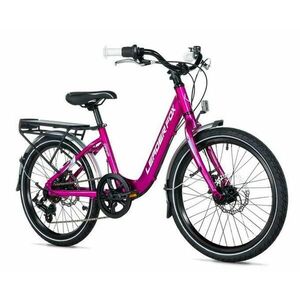 Leader Fox GAMP 20 GIRL - K26/20/2/1 obraz