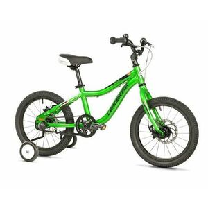 Leader Fox KENO 16 GREEN - zelené obraz