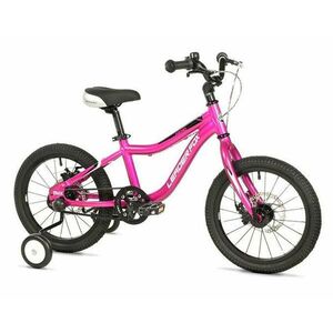 Leader Fox KENO UNI 16 PURPLE - fialová obraz