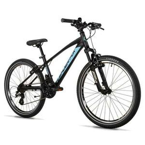 Leader Fox SPIDER BOY 24 BLACK MATT - černá obraz