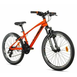 Leader Fox SPIDER BOY 24 ORANGE SHINY - oranžové obraz