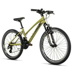 Leader Fox SPIDER GIRL 24 ARMY GREEN - zelené obraz