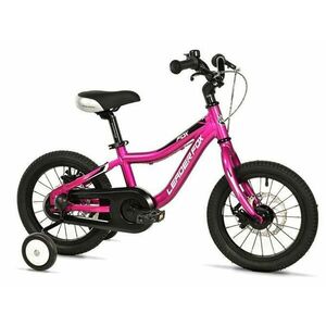 Leader FOX UNI 14 PURPLE - fialové obraz