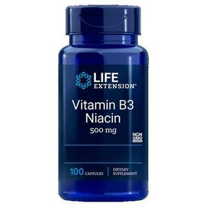 Life Extension Vitamin B3 Niacin 100 kapslí obraz