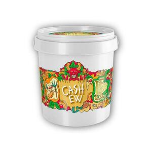 Life Like Kešu krém 1000g obraz