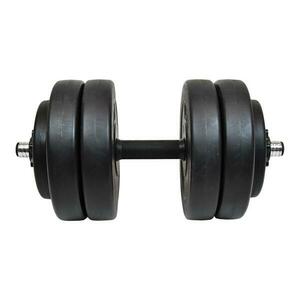 Lifefit Činka nakládací jednoruční 23 kg vinyl-cement 30mm tyč/6x kotouč obraz