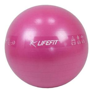 Lifefit Gymnastický míč Anti-burst 55 cm bordó obraz