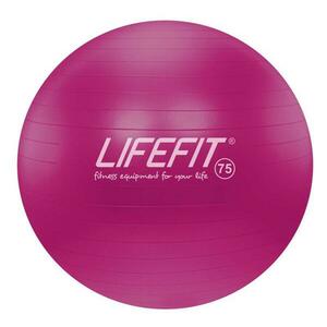 Lifefit Gymnastický míč Anti-burst 75 cm bordó obraz