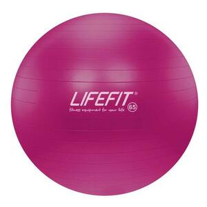 Lifefit Gymnastický míč Anti-burst 65 cm bordó obraz