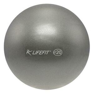 Lifefit Míč Overball 20cm stříbrný obraz