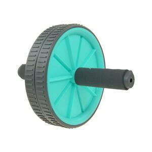 Lifefit Posilovací kolečko Exercise Wheel Duo mint obraz