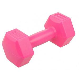 Lifefit Vinylová činka 1 x 1 kg růžová obraz