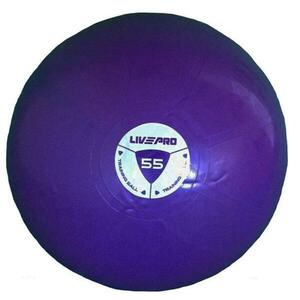 Livepro Míč gymball STUDIO FIT EXERCISE 55 cm - 55 obraz