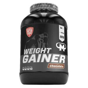 Mammut Weight gainer Crash 5000 1400g - Vanilka obraz