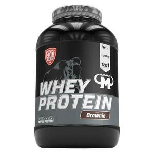 Mammut Whey protein 10 x 25g - Mix příchutí obraz
