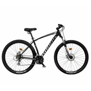 Mayo 29 BASIC D - Čierna-sivá, 17 palců obraz