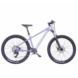 Mayo XC 27, 5 EGO LITE D - šedá-modrá, 17 palců obraz