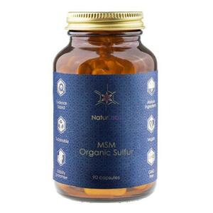 NaturLabs MSM 90 kapslí obraz