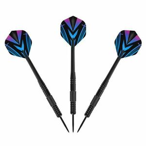 Nils Šipky s ocelovým hrotem Fun TDR02 obraz