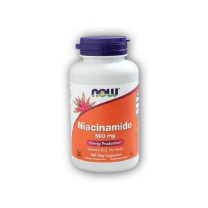 NOW Foods Vitamin B3 Nikotinamid (niacinamid) 500mg 100 kapslí obraz