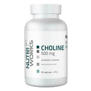 NutriWorks Choline 500mg 90 kapslí obraz