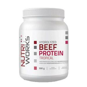 NutriWorks Hydrolyzed Beef Protein 500g - Tropické ovoce obraz