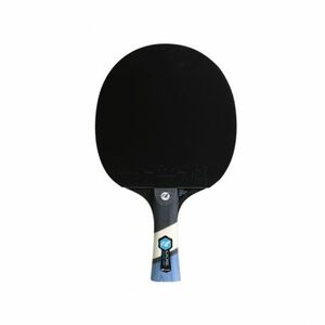 Stolní tenisová raketa CORNILLEAU-Perform 500 obraz