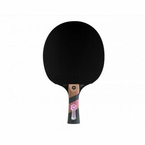 Stolní tenisová raketa CORNILLEAU-Excell 3000 Carbon obraz