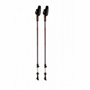 Palice nordic walking BLIZZARD-Alu Performance nordic walking poles, anthracite/pink obraz