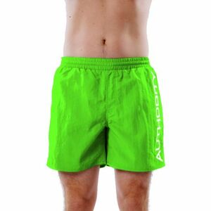 Pánské plavky AUTHORITY-SW-WAKA green obraz