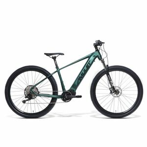 Horské elektrokolo AMULET-29 eRival 5.0 SR, racing green/black obraz