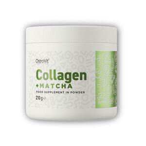 Ostrovit Collagen + matcha 210g obraz