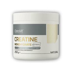 Ostrovit Creatine monohydrate Creapure 250g obraz