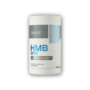 Ostrovit HMB 2250 300 kapslí obraz