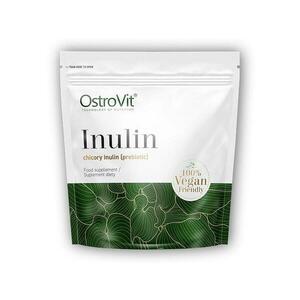 Ostrovit Inulin 500g obraz