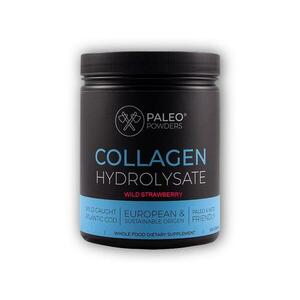 Paleo Powders Kolagen z divokých ryb 500g (natural jahoda + vitamin C) obraz